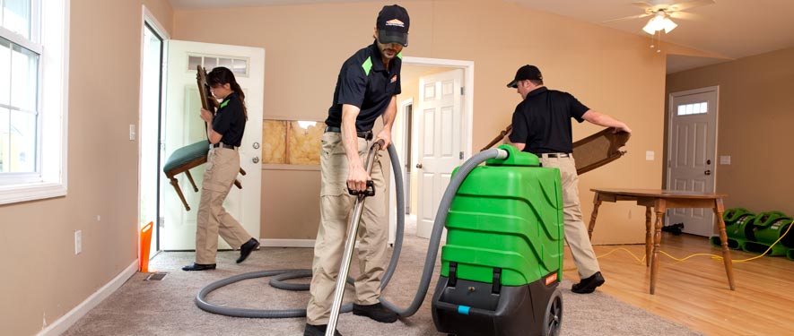 Palm Harbor, FL cleaning services